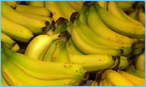 _38701357_bananas300.jpg