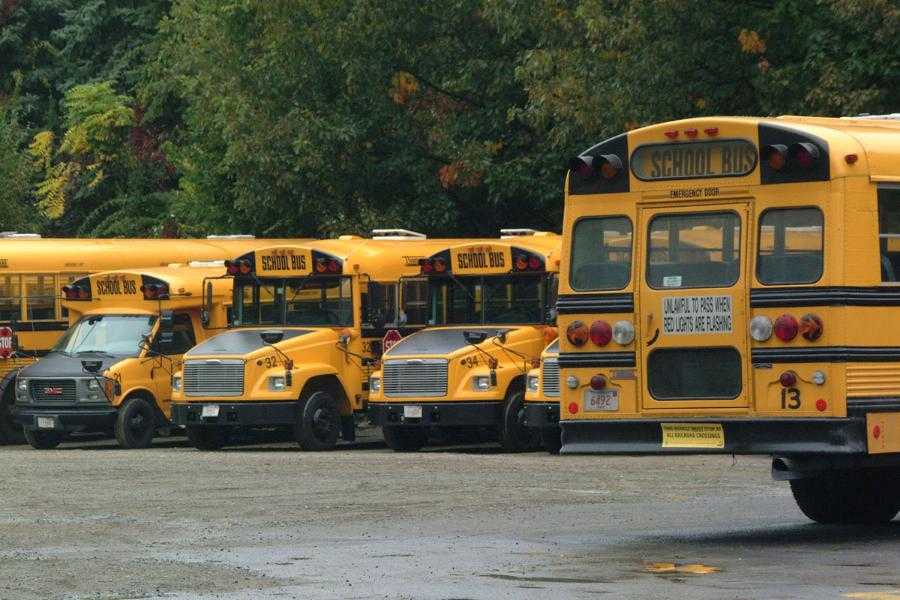 school buses