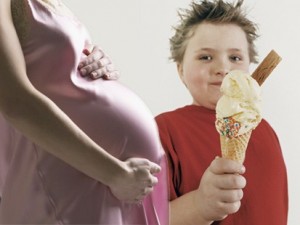 obesity linked to junk food in pregnancy