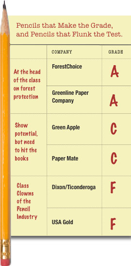 eco-friendly pencil report card