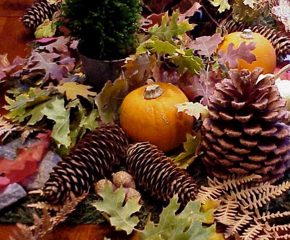 natural items for a fall Thanksgiving centerpiece