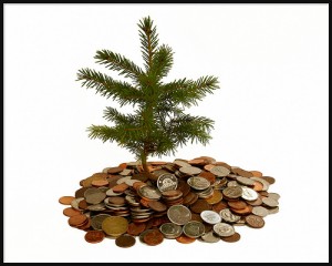 money around a tree