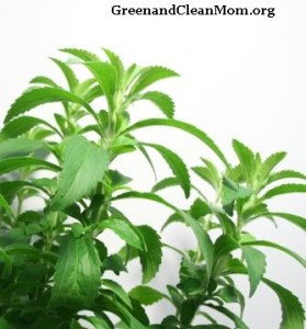 Stevia is not classified as food by the FDA