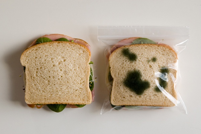 fake mold protects your child\'s lunch from bullies