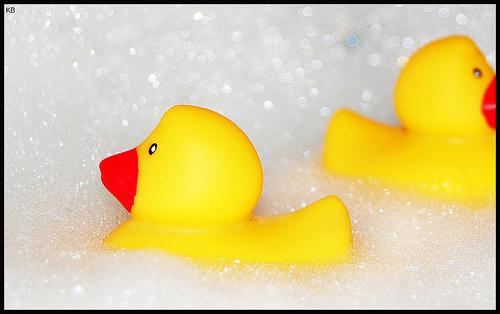 Is this duck taking a formaldehyde bath?