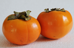 Persimmon cookies are a seasonal kid favorite!