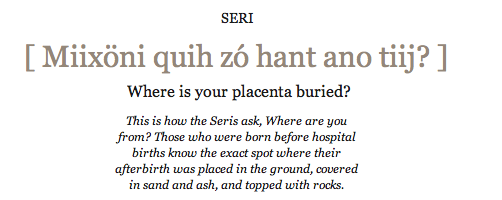 Where is your placenta buried?