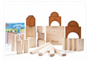 larsen toy lab blocks