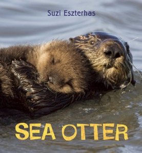 sea otter