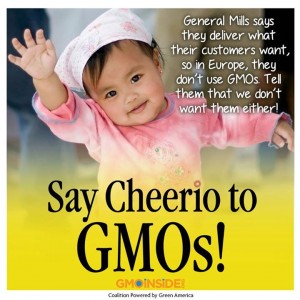 Despite its refusal to do so at home, General Mills already offers GMO-free Cheerios in Europe 