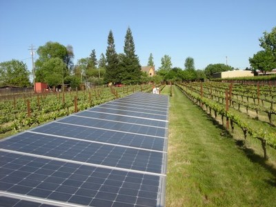 Solar panels at Bockish Vineyard