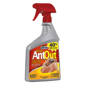 antout