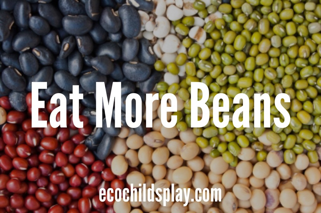 Eat more plant-based protein for better health and weight management!