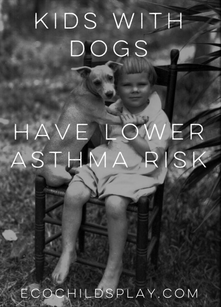 "Exposure to dogs (having a parent who was a registered dog owner) during the first year of life was linked to a 13% lower risk of asthma in school age children, and farm animal exposure was linked to a 52% lower risk for school age children and a 31% lower risk among preschool age kids."