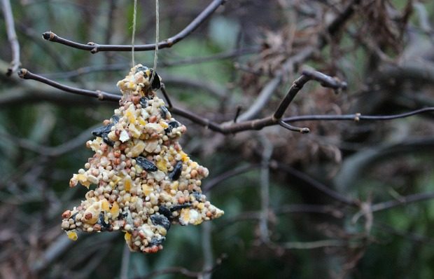 10 eco-friendly Christmas crafts