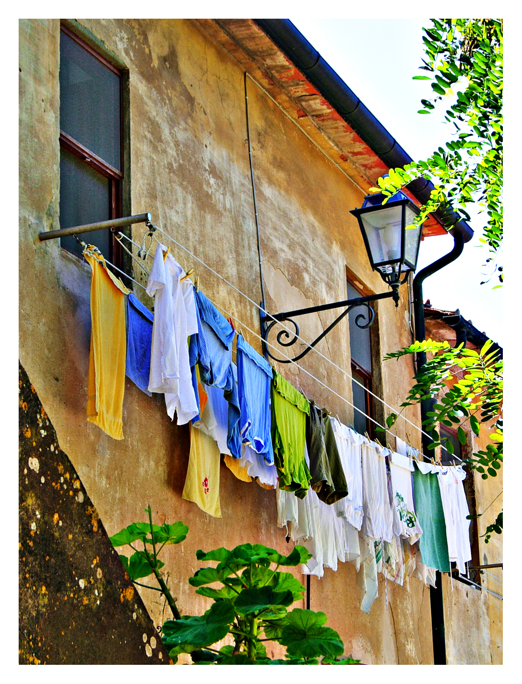 green laundry tips