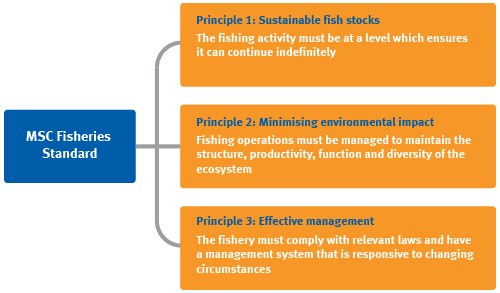 sustainable seafood