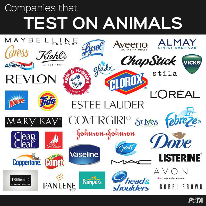 animal testing