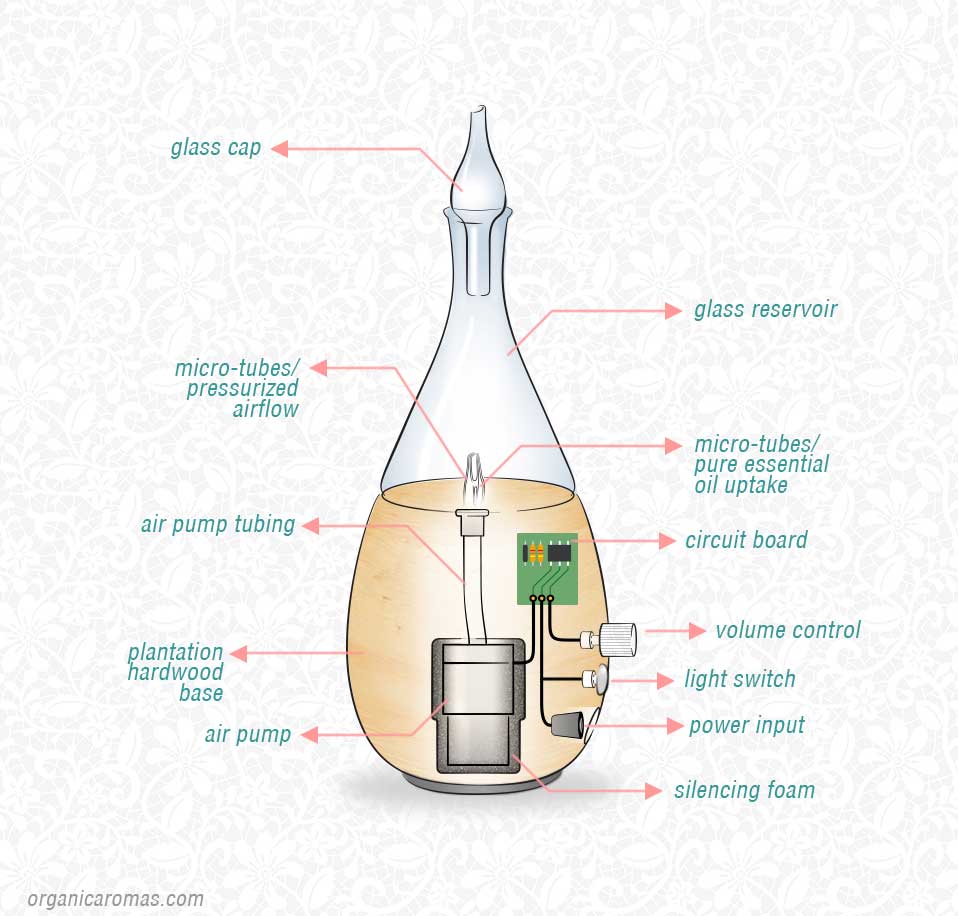 essential oils basics