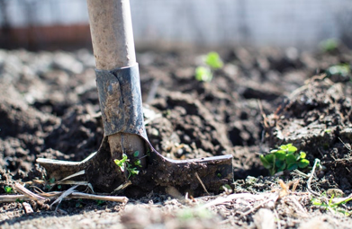 How You Can Save Water in the Garden 3