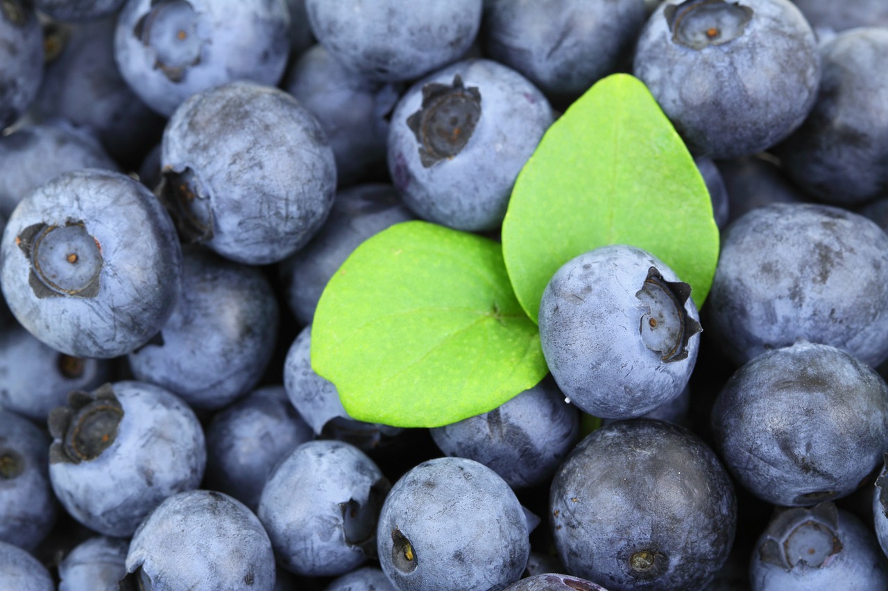 vegan blueberry muffins